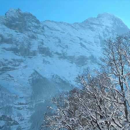 Hotel Gletschergarten Grindelwald Ngoại thất bức ảnh