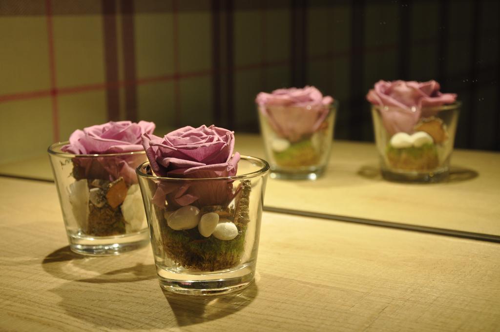 Hotel Gletschergarten Grindelwald Ngoại thất bức ảnh