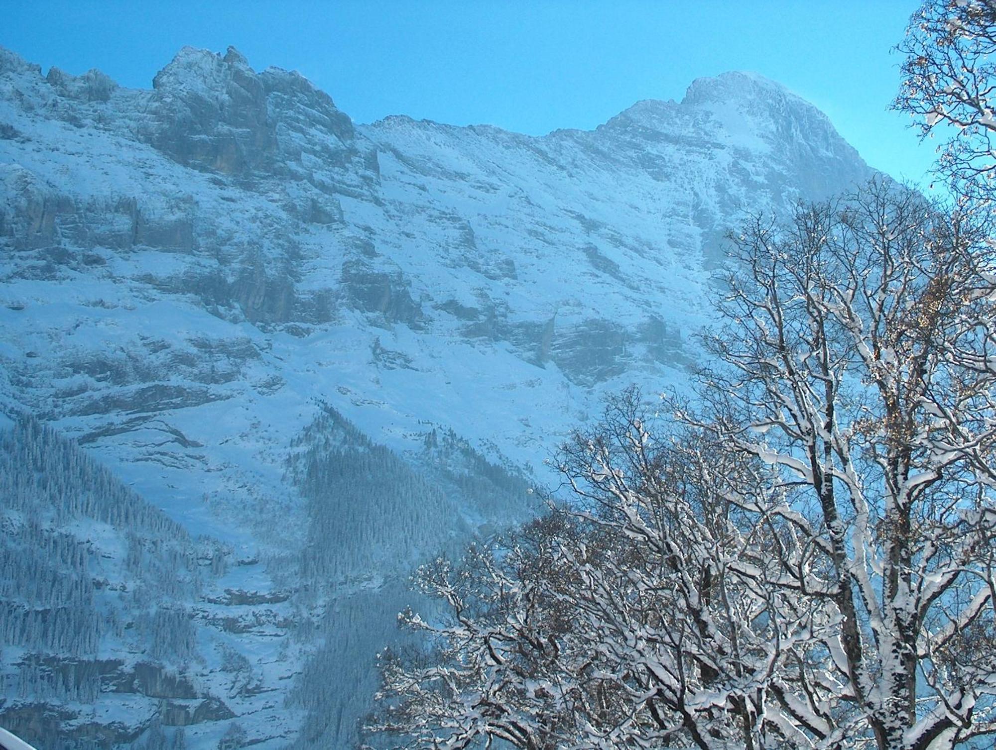 Hotel Gletschergarten Grindelwald Ngoại thất bức ảnh