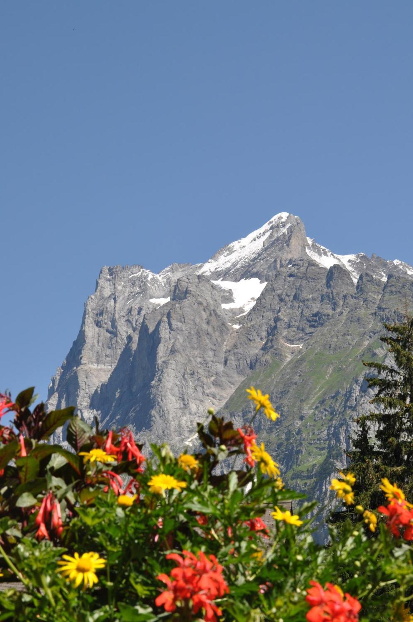 Hotel Gletschergarten Grindelwald Ngoại thất bức ảnh